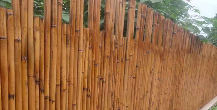 實(shí)力強(qiáng)